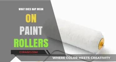 Understanding NAP on Paint Rollers: A Guide to Choosing the Right One
