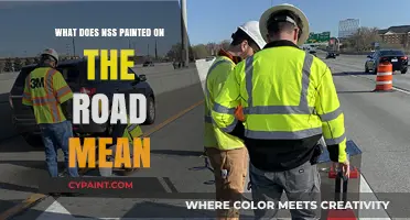 Understanding NSS Road Markings: Meaning and Importance Explained