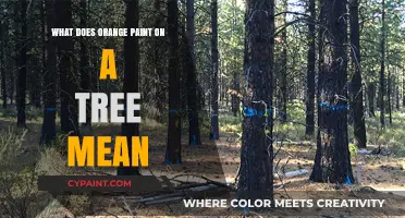 Understanding Orange Paint on Trees: Markings, Meanings, and Environmental Significance