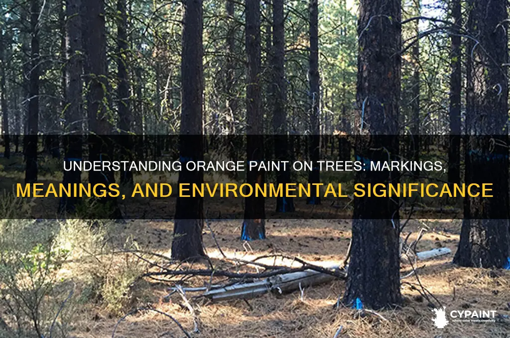 what does orange paint on a tree mean