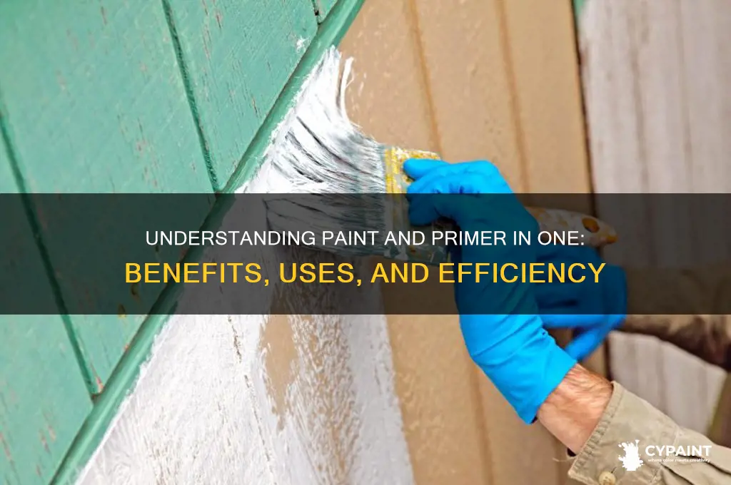what does paint and primer in one mean