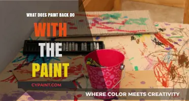 What Does PaintBack Do with Recycled Paint? A Full Breakdown