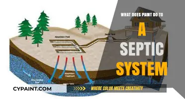 How Paint Affects Septic Systems: Risks and Proper Disposal Tips