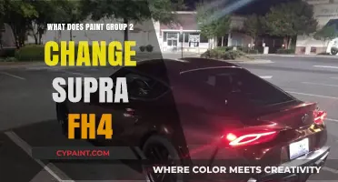 Paint Group 2 Supra FH4: Unlocking New Customization Possibilities