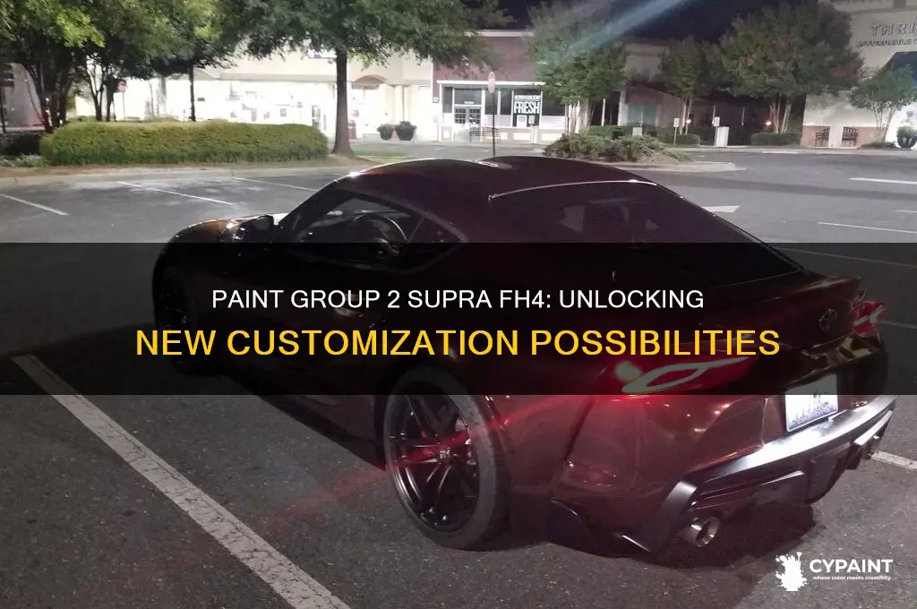 what does paint group 2 change supra fh4