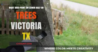 Decoding the Meaning Behind Paint on Tree Trunks in Victoria, TX