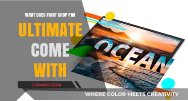 PaintShop Pro Ultimate: Features, Tools, and Add-ons Included