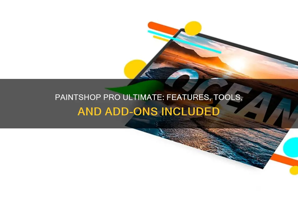 what does paint shop pro ultimate come with