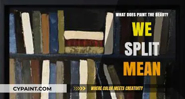 Unveiling the Meaning Behind 'Paint the Beauty We Split