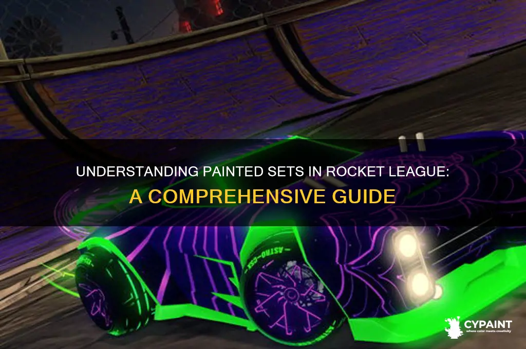what does painted set mean in rocket league