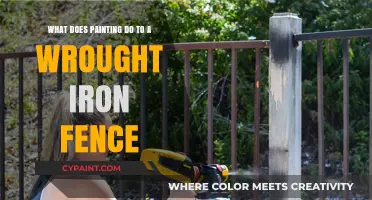 Protect and Beautify Your Wrought Iron Fence with Paint
