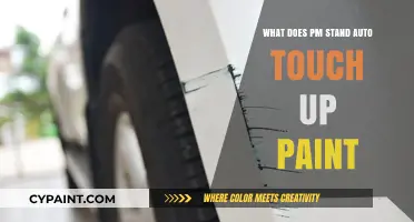 Understanding PM Stand Auto Touch Up Paint: Uses and Benefits