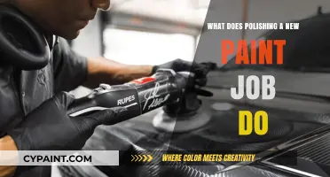 Enhancing Shine and Protection: Benefits of Polishing a New Paint Job