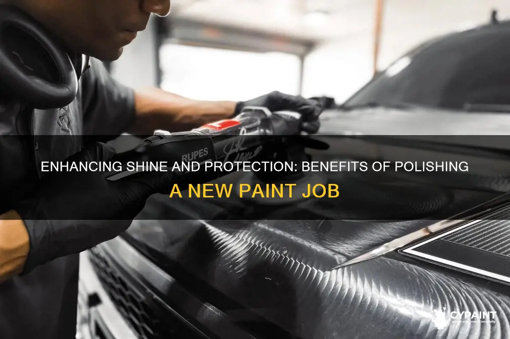 what does polishing a new paint job do