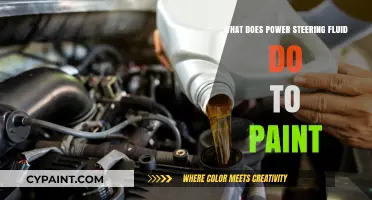 Power Steering Fluid on Paint: Effects, Damage, and Prevention Tips