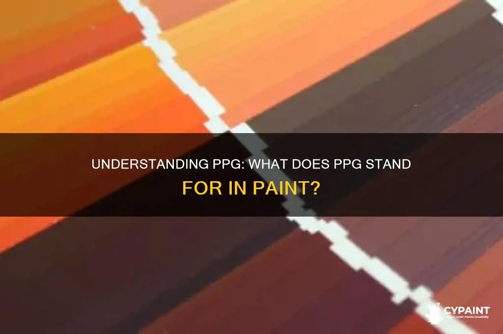 what does ppg stand for in paint