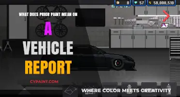 Understanding Prior Paint: Vehicle Report Red Flags