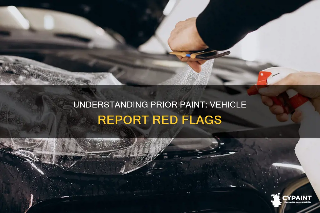 what does prior paint mean on a vehicle report