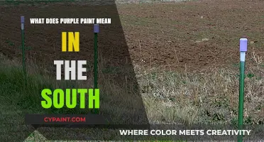 Purple Paint Law: Understanding Southern Boundary Markings and Trespassing Rules