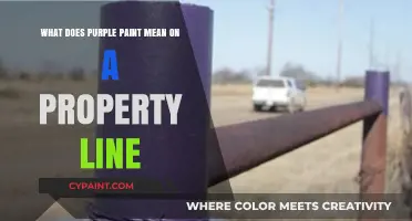 Understanding the Meaning of Purple Paint on Property Lines
