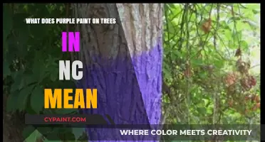 Purple Paint on Trees: Understanding NC's Unique Marking System