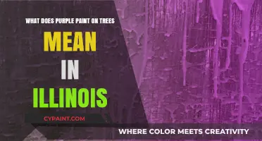 Purple Paint on Trees: Illinois' Unique Marking System