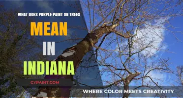 Purple Paint on Trees: Indiana's Unique Marking System