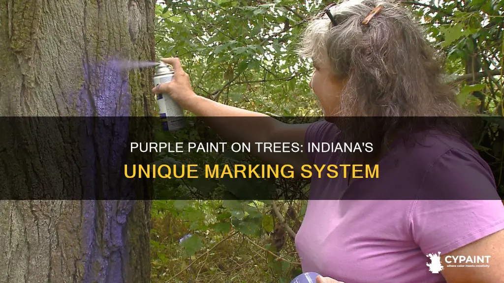 what does purple paint on trees mean in indiana