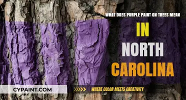 Decoding Nature's Palette: The Mystery of Purple-Painted Trees in North Carolina