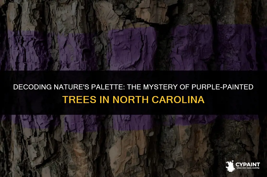 what does purple paint on trees mean in north carolina