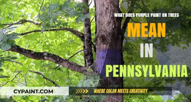 Purple Paint on Pennsylvania Trees: What's the Meaning?