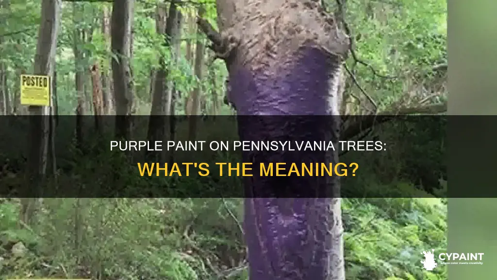 what does purple paint on trees mean in pennsylvania