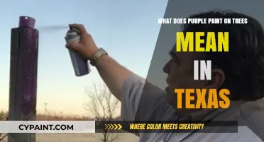 Purple Paint on Texas Trees: What's the Meaning?