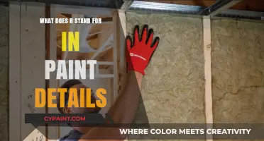 Unveiling the Mystery: What Does 'R' Stand for in Paint Details?