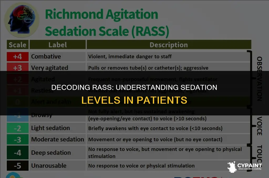 what does rass for patients on sedation paint drips mean