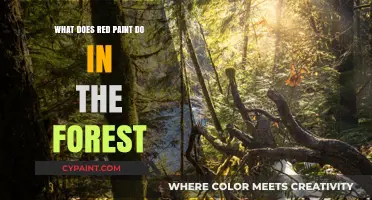 Red Paint in the Forest: Unveiling Its Surprising Ecological Role