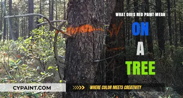 Decoding Red Paint on Trees: Symbolism, Purpose, and Environmental Impact