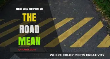 Decoding Road Markings: Understanding the Meaning of Red Paint on Streets