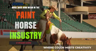 ROM: A Paint Horse Industry Accolade