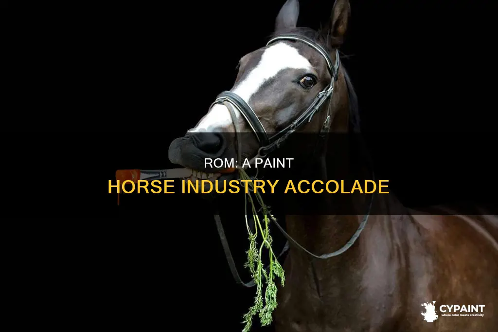 what does rom mean in the paint horse insustry