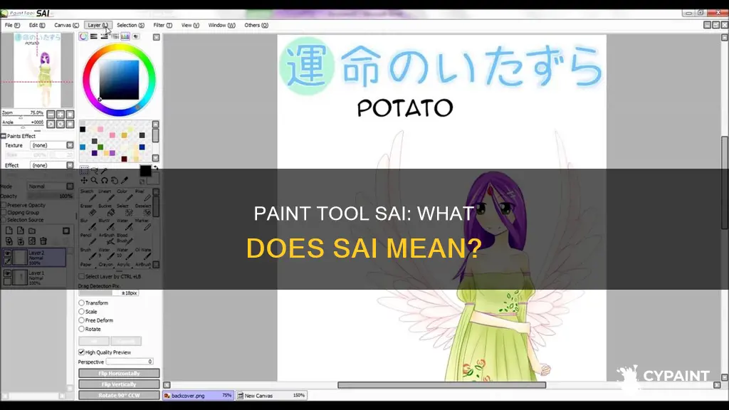what does sai stand for in paint tool sai