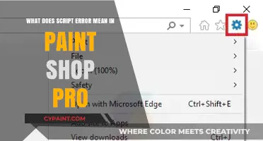 Understanding Script Errors in Paint Shop Pro