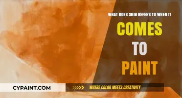 Unveiling the Mystery: What Does 'Shin' Mean in Paint?
