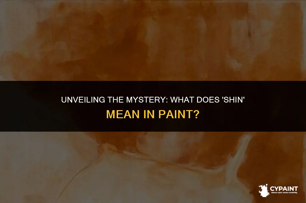 what does shin refers to when it comes to paint