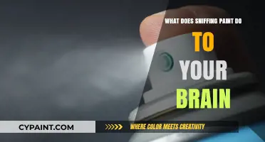 Sniffing Paint: Uncovering the Dangerous Effects on Brain Function