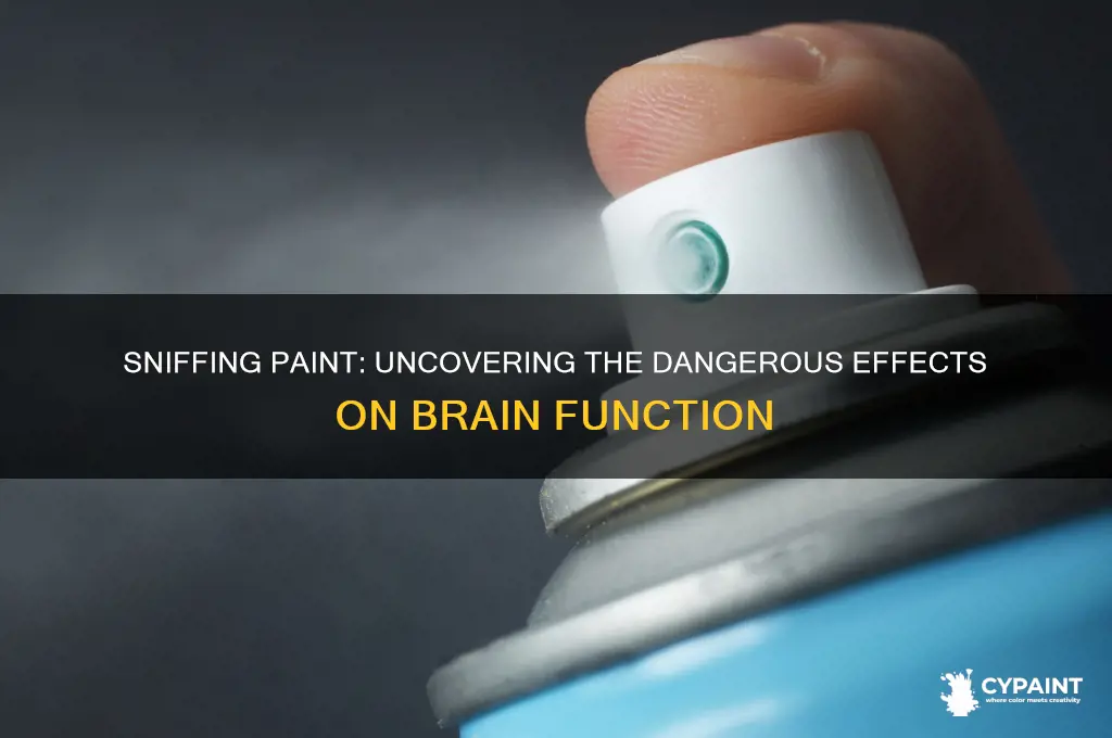 what does sniffing paint do to your brain
