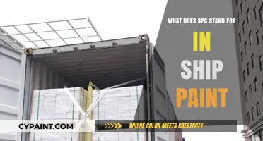 Understanding SPC: The Meaning Behind Ship Paint Acronyms Explained