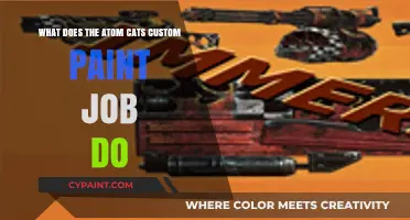 Atom Cats Custom Paint Job: What's the Deal?