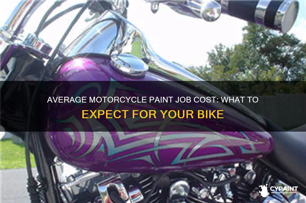 what does the average motorcycle paint job cpst