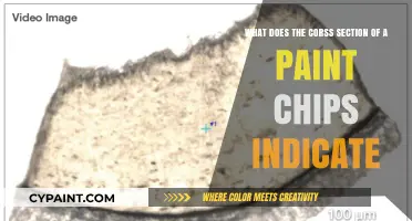 Unveiling the Secrets: What Does the Cross Section of a Paint Chip Reveal?